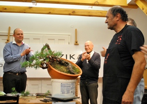 bonsai alakitasa bonsai workshop on adriano bonini vel a bonsai es suiseki mustran